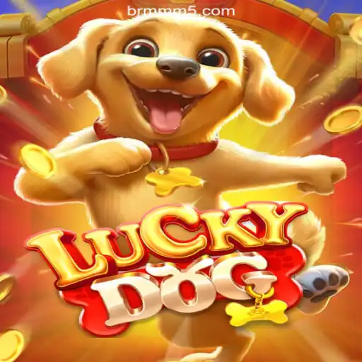 Experience the Thrills of LuckyDog on MMM5.COM: Brazil's Top Online Slots Platform